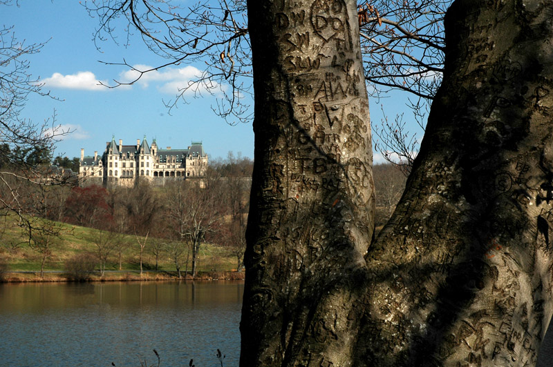 the back of the biltmore house | asheville, nc