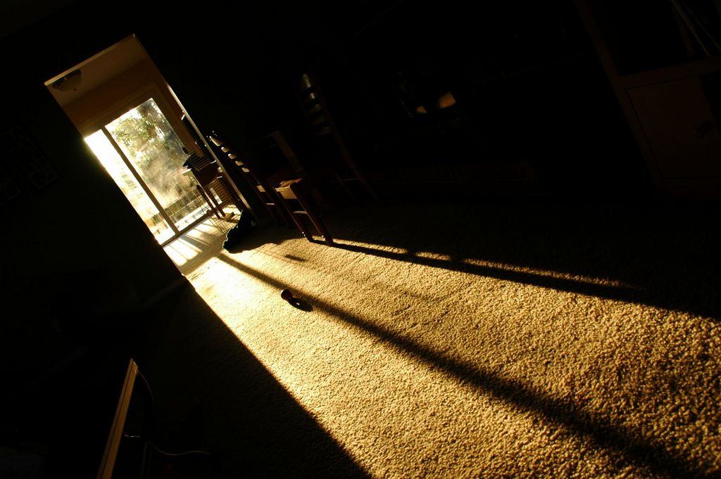 evening light in a dark house | asheville, nc