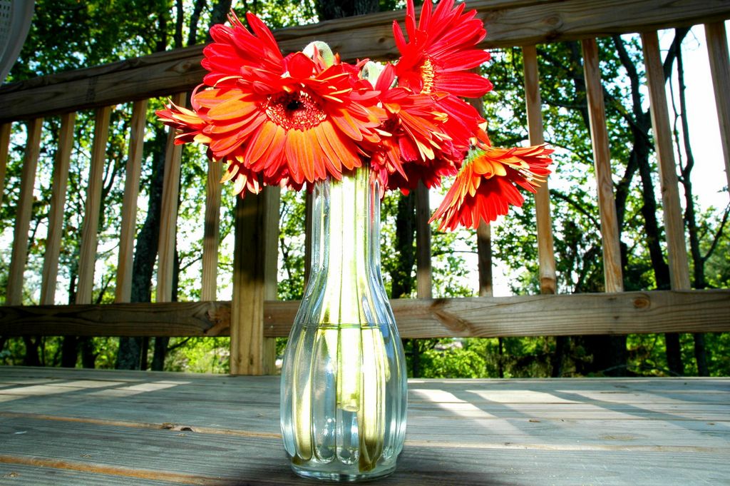 flowers on back deck | asheville, nc