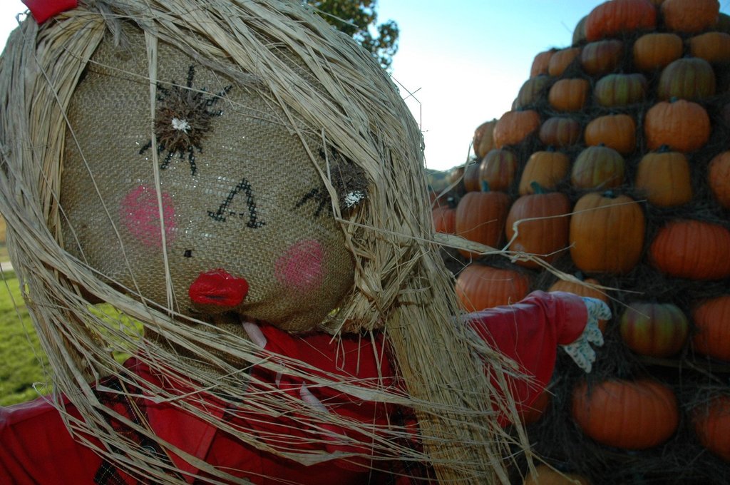 scarecrow on the biltmore estate | asheville, nc